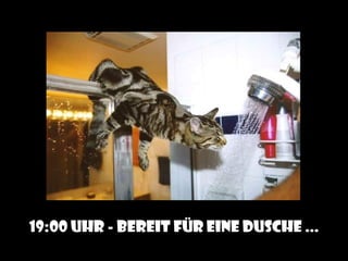 19:00 Uhr - Bereit für eine Dusche ...
 