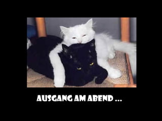 Ausgang am abend ...
 