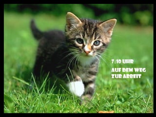 7:10 Uhr
Auf dem weg
zur arbeit
 