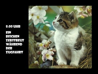 8:00 Uhr
Ein
Bischen
zerstreut
während
der
zugfahrt
 