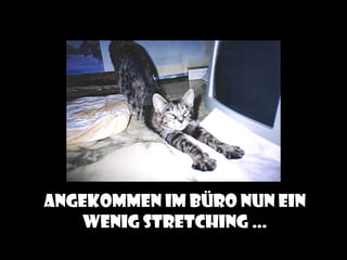 Angekommen im büro nun ein
   wenig stretching …
 