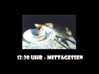 12:30 Uhr - mittagessen
 