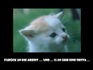 Zurück an die Arbeit …. und … 15:00 Uhr eine siesta …
 