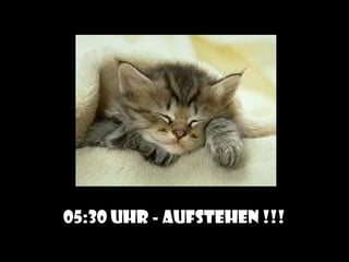 05:30 Uhr - AUFSTEHEN !!!
 