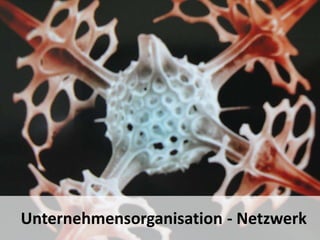 17 - Kieselalge
Die Gestalt von Unternehmen ändert sich.
Organisationen werden weder kopf- noch hierarchielos sein, aber die Pyramide aus
den BWL-Lehrbüchern und hierarchische Organigramme sind überholt.
Die Netzwerkstrukturen gleichen Organismen. Dieses Radiolaren-Skeletts ist
übrigens aus dem Buch „Faszination Bionik“ von Malik.
17
Unternehmensorganisation - Netzwerk
 