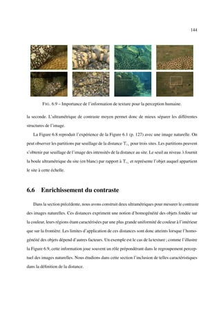 144




         F IG . 6.9 – Importance de l’information de texture pour la perception humaine.

la seconde. L’ultramétrique de contraste moyen permet donc de mieux séparer les différentes

structures de l’image.

    La Figure 6.8 reproduit l’expérience de la Figure 6.1 (p. 127) avec une image naturelle. On

peut observer les partitions par seuillage de la distance Υc1 pour trois sites. Les partitions peuvent

s’obtenir par seuillage de l’image des intensités de la distance au site. Le seuil au niveau λ fournit

la boule ultramétrique du site (en blanc) par rapport à Υc1 et représente l’objet auquel appartient

le site à cette échelle.



6.6 Enrichissement du contraste

    Dans la section précédente, nous avons construit deux ultramétriques pour mesurer le contraste

des images naturelles. Ces distances expriment une notion d’homogénéité des objets fondée sur

la couleur, leurs régions étant caractérisées par une plus grande uniformité de couleur à l’intérieur

que sur la frontière. Les limites d’application de ces distances sont donc atteints lorsque l’homo-

généité des objets dépend d’autres facteurs. Un exemple est le cas de la texture ; comme l’illustre

la Figure 6.9, cette information joue souvent un rôle prépondérant dans le regroupement percep-

tuel des images naturelles. Nous étudions dans cette section l’inclusion de telles caractéristiques

dans la déﬁnition de la distance.
 
