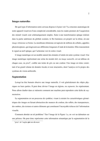 2



Images naturelles

       De quel type d’information notre cerveau dispose-t-il pour voir ? La structure anatomique de

notre appareil visuel est d’une complexité considérable, mais les stades premiers de l’acquisition

des stimuli visuels sont schématiquement simples. Suite à une transformation optique réalisée

dans la partie antérieure du globule oculaire, le ﬂot lumineux est projeté sur la rétine, où une

image rétinienne se forme. La membrane rétinienne est tapissée de millions de cellules, appelées

photorécepteurs, qui réagissent aux différentes longueurs d’onde de la lumière. Elles transmettent

le signal au nerf optique, qui l’achemine vers le cortex visuel.

       L’image numérique est un modèle naturel des données d’entrée de notre système visuel. Une

image numérique représentant une scène du monde réel, ou image naturelle, est un tableau où

chaque case, ou pixel1 , codiﬁe une teinte de gris ou une couleur. Une image est donc consti-

tuée d’un grand volume de données locales et non structurées, dont l’analyse est le propos des

systèmes de vision artiﬁcielle.

Segmentation

       Lorsqu’un être humain observe une image naturelle, il voit généralement des objets phy-

siques ou leurs parties. Il peut donc diviser l’image en régions, ou segments, les représentant.

Nous allons étudier dans ce mémoire comment une machine peut reproduire cette tâche de seg-

mentation.

       La segmentation est un processus de synthèse, visant à extraire les caractéristiques géomé-

triques des images en faisant abstraction des nuances de couleur, des reﬂets, des transparences,

des ombres, des textures et autres éléments qui constituent l’incroyable richesse de l’information

visuelle.

       Comment aborder un tel problème ? Sur l’image de la Figure 1.a, on voit un dalmatien sur

une pelouse. On peut donc représenter cette information sémantique par la segmentation de la
   1
       pixel : de l’anglais pic-ture el-ement
 