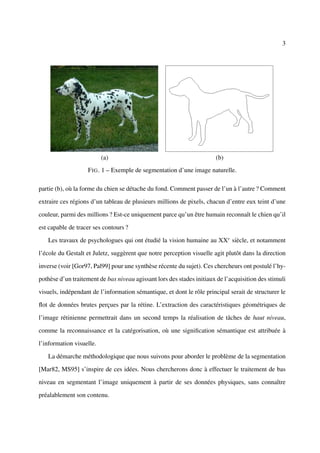 3




                          (a)                                          (b)
                   F IG . 1 – Exemple de segmentation d’une image naturelle.

partie (b), où la forme du chien se détache du fond. Comment passer de l’un à l’autre ? Comment

extraire ces régions d’un tableau de plusieurs millions de pixels, chacun d’entre eux teint d’une

couleur, parmi des millions ? Est-ce uniquement parce qu’un être humain reconnaît le chien qu’il

est capable de tracer ses contours ?

   Les travaux de psychologues qui ont étudié la vision humaine au XXe siècle, et notamment

l’école du Gestalt et Juletz, suggèrent que notre perception visuelle agit plutôt dans la direction

inverse (voir [Gor97, Pal99] pour une synthèse récente du sujet). Ces chercheurs ont postulé l’hy-

pothèse d’un traitement de bas niveau agissant lors des stades initiaux de l’acquisition des stimuli

visuels, indépendant de l’information sémantique, et dont le rôle principal serait de structurer le

ﬂot de données brutes perçues par la rétine. L’extraction des caractéristiques géométriques de

l’image rétinienne permettrait dans un second temps la réalisation de tâches de haut niveau,

comme la reconnaissance et la catégorisation, où une signiﬁcation sémantique est attribuée à

l’information visuelle.

   La démarche méthodologique que nous suivons pour aborder le problème de la segmentation

[Mar82, MS95] s’inspire de ces idées. Nous chercherons donc à effectuer le traitement de bas

niveau en segmentant l’image uniquement à partir de ses données physiques, sans connaître

préalablement son contenu.
 