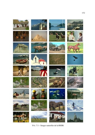 172




F IG . 7.1 – Images naturelles de la BSDB.
 