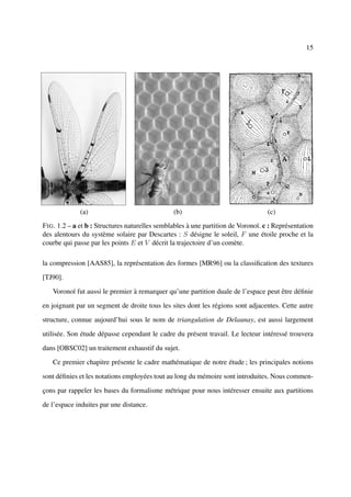 15




              (a)                               (b)                                (c)
F IG . 1.2 – a et b : Structures naturelles semblables à une partition de Voronoï. c : Représentation
des alentours du système solaire par Descartes : S désigne le soleil, F une étoile proche et la
courbe qui passe par les points E et V décrit la trajectoire d’un comète.

la compression [AAS85], la représentation des formes [MR96] ou la classiﬁcation des textures

[TJ90].

   Voronoï fut aussi le premier à remarquer qu’une partition duale de l’espace peut être déﬁnie

en joignant par un segment de droite tous les sites dont les régions sont adjacentes. Cette autre

structure, connue aujourd’hui sous le nom de triangulation de Delaunay, est aussi largement

utilisée. Son étude dépasse cependant le cadre du présent travail. Le lecteur intéressé trouvera

dans [OBSC02] un traitement exhaustif du sujet.

   Ce premier chapitre présente le cadre mathématique de notre étude ; les principales notions

sont déﬁnies et les notations employées tout au long du mémoire sont introduites. Nous commen-

çons par rappeler les bases du formalisme métrique pour nous intéresser ensuite aux partitions

de l’espace induites par une distance.
 