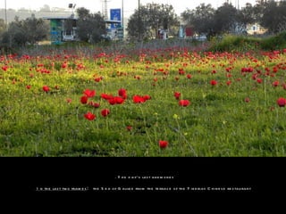 . T h e d ay‘s las t ane m on e s

I n th e las t tw o fram e s :   th e S e a of G alile e from th e te rrac e o f th e T ib e rias C h ine s e re s tau rant
 