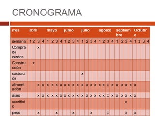 CRONOGRAMA
mes         abril       mayo    junio   julio       agosto   septiem Octubr
                                                             bre     e
semana 1 2 3 4 1 2 3 4 1 2 3 4 1 2 3 4 1 2 3 4 1 2 3 4 1 2 3 4
Compra              x
de
cerdos
Constru       x
cción
castraci                                x
ón
aliment             x x x x x x x x x x x x x x x x x x x x x x x
ación
aseo                x x x x x x x x x x x x x x x x x x x x x x x
sacrifici                                                        x
o
peso                x       x       x           x      x         x   x
 