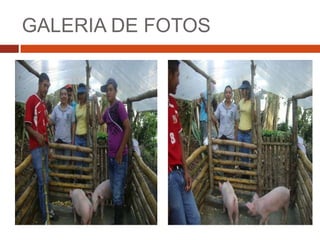 GALERIA DE FOTOS
 
