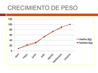 CRECIMIENTO DE PESO
 