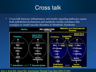 Cross talk Cross-talk between inflammatory and insulin signaling pathways causes both endothelial dysfunction and metabolic insulin resistance that synergize to cardiovascular disorders in Metabolic Syndrome Kim J, Koh KK, Quon MJ. Arterioscler Thromb Vasc Biol 2005;25:889.  
