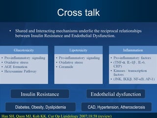 Cross talk Shared and Interacting mechanisms underlie the reciprocal relationships between Insulin Resistance and Endothelial Dysfunction. Han SH, Quon MJ, Koh KK. Cur Op Lipidology 2007;18:58 (review) Insulin Resistance Endothelial dysfunction Diabetes, Obesity, Dyslipidemia CAD, Hypertension, Atherosclerosis 