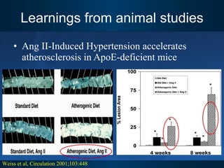Learnings from animal studies Ang II-Induced Hypertension accelerates atherosclerosis in ApoE-deficient mice Weiss et al, Circulation 2001;103:448 