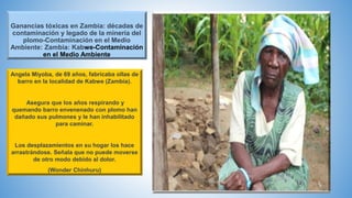 Ganancias tóxicas en Zambia: décadas de
contaminación y legado de la minería del
plomo-Contaminación en el Medio
Ambiente: Zambia: Kabwe-Contaminación
en el Medio Ambiente
Angela Miyoba, de 69 años, fabricaba ollas de
barro en la localidad de Kabwe (Zambia).
Asegura que los años respirando y
quemando barro envenenado con plomo han
dañado sus pulmones y le han inhabilitado
para caminar.
Los desplazamientos en su hogar los hace
arrastrándose. Señala que no puede moverse
de otro modo debido al dolor.
(Wonder Chinhuru)
 