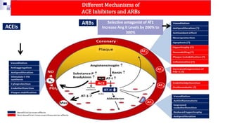 ARB MI PARADOX-1.pptx