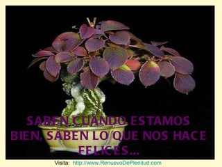 SABEN CUANDO ESTAMOS BIEN, SABEN LO QUE NOS HACE FELICES... Visita:  http://www.RenuevoDePlenitud.com 