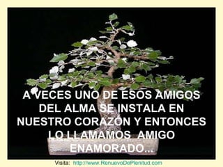 A VECES UNO DE ESOS AMIGOS DEL ALMA SE INSTALA EN NUESTRO CORAZÓN Y ENTONCES LO LLAMAMOS  AMIGO ENAMORADO... Visita:  http://www.RenuevoDePlenitud.com 