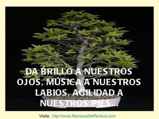 DA BRILLO A NUESTROS OJOS, MÚSICA A NUESTROS LABIOS, AGILIDAD A NUESTROS PIES... Visita:  http://www.RenuevoDePlenitud.com 