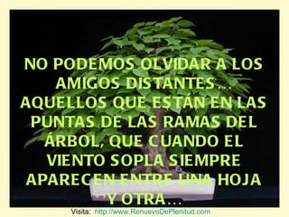NO PODEMOS OLVIDAR A LOS AMIGOS DISTANTES… AQUELLOS QUE ESTÁN EN LAS PUNTAS DE LAS RAMAS DEL ÁRBOL, QUE CUANDO EL VIENTO SOPLA SIEMPRE APARECEN ENTRE UNA HOJA Y OTRA… Visita:  http://www.RenuevoDePlenitud.com 