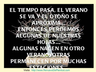 EL TIEMPO PASA, EL VERANO SE VA Y EL OTOÑO SE APROXIMA... ENTONCES PERDEMOS ALGUNAS DE NUESTRAS HOJAS... ALGUNAS NACEN EN OTRO VERANO, OTRAS PERMANECEN POR MUCHAS ESTACIONES... Visita:  http://www.RenuevoDePlenitud.com 