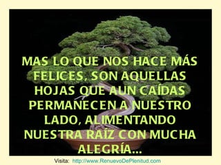 MAS LO QUE NOS HACE MÁS FELICES, SON AQUELLAS HOJAS QUE AUN CAÍDAS PERMANECEN A NUESTRO LADO, ALIMENTANDO NUESTRA RAÍZ CON MUCHA ALEGRÍA... Visita:  http://www.RenuevoDePlenitud.com 