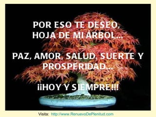 POR ESO TE DESEO,  HOJA DE MI ÁRBOL... PAZ, AMOR, SALUD, SUERTE Y PROSPERIDAD... ¡¡HOY Y SIEMPRE!!! Visita:  http://www.RenuevoDePlenitud.com 