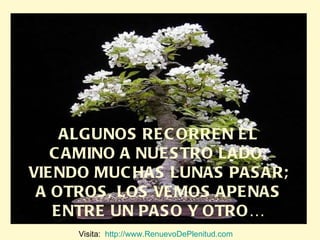 ALGUNOS RECORREN EL CAMINO A NUESTRO LADO, VIENDO MUCHAS LUNAS PASAR; A OTROS, LOS VEMOS APENAS ENTRE UN PASO Y OTRO… Visita:  http://www.RenuevoDePlenitud.com 