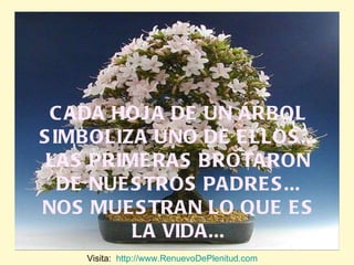 CADA HOJA DE UN ÁRBOL SIMBOLIZA UNO DE ELLOS... LAS PRIMERAS BROTARON DE NUESTROS PADRES... NOS MUESTRAN LO QUE ES LA VIDA... Visita:  http://www.RenuevoDePlenitud.com 