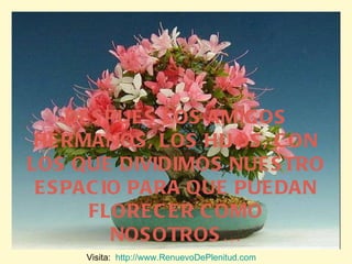 DESPUÉS LOS AMIGOS HERMANOS, LOS HIJOS, CON LOS QUE DIVIDIMOS NUESTRO ESPACIO PARA QUE PUEDAN FLORECER COMO NOSOTROS… Visita:  http://www.RenuevoDePlenitud.com 