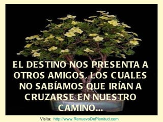 EL DESTINO NOS PRESENTA A OTROS AMIGOS, LOS CUALES NO SABÍAMOS QUE IRÍAN A CRUZARSE EN NUESTRO CAMINO... Visita:  http://www.RenuevoDePlenitud.com 