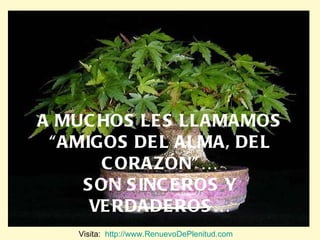 A MUCHOS LES LLAMAMOS “AMIGOS DEL ALMA, DEL CORAZÓN”… SON SINCEROS Y VERDADEROS… Visita:  http://www.RenuevoDePlenitud.com 