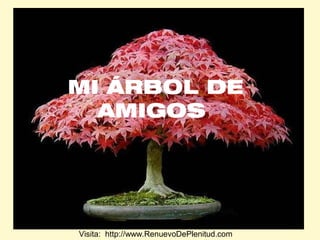 MI ÁRBOL DE
AMIGOS

Visita: http://www.RenuevoDePlenitud.com

 