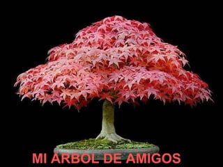 MI ÁRBOL DE AMI GOS   