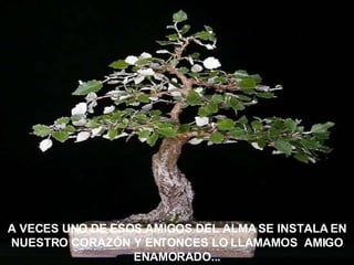 A VECES UNO DE ESOS AMIGOS DEL ALMA SE INSTALA EN NUESTRO CORAZÓN Y ENTONCES LO LLAMAMOS  AMIGO ENAMORADO... 