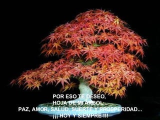 POR ESO TE DESEO,  HOJA DE MI ÁRBOL... PAZ, AMOR, SALUD, SUERTE Y PROSPERIDAD... ¡¡¡ HOY Y SIEMPRE !!! 