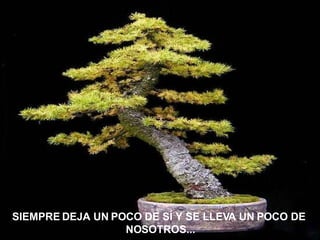 SIEMPRE DEJA UN POCO DE SÍ Y SE LLEVA UN POCO DE  NOSOTROS... 