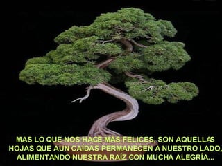 MAS LO QUE NOS HACE MÁS FELICES, SON AQUELLAS HOJAS QUE AUN CAÍDAS PERMANECEN A NUESTRO LADO, ALIMENTANDO NUESTRA RAÍZ CON MUCHA ALEGRÍA... 