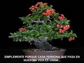 SIMPLEMENTE PORQUE CADA PERSONA QUE PASA EN NUESTRA VIDA ES ÚNICA... 