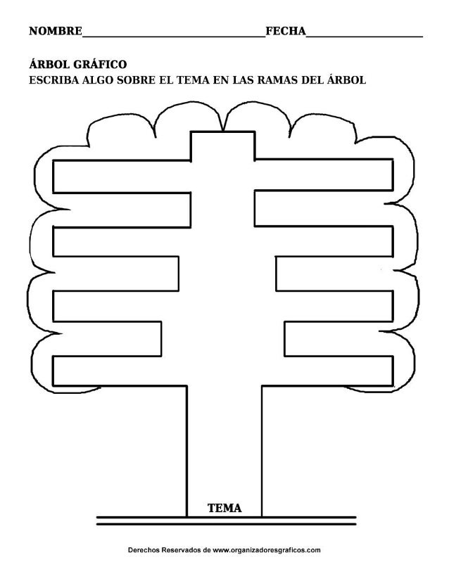 ORGANIZADOR GRAFICO SCRATCH