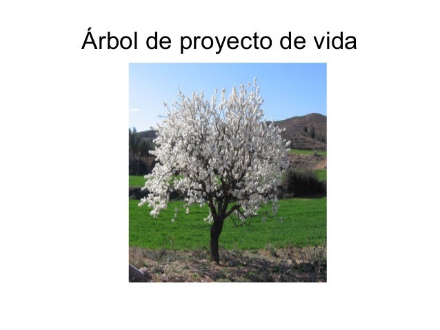 Arbol (1)