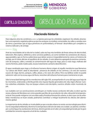 Secretaría de Ambiente
y Ordenamiento Territorial
Departamento de Educación Ambiental
Haciendo historia
Hace algunos años las condiciones eran propicias para que las arboledas vegetaran: los árboles alcanza-
ban una expresión vegetativa plena ya que las acequias no estaban cementadas, las calles y veredas eran
de tierra y permitían que el agua penetrara en profundidad y el forestal desarrollara por completo su
sistema radicular y de anclaje.
Ante las necesidades de la vida de la ciudad, cada vez hay más tendidos de líneas aéreas de electricidad,
televisión, fibra óptica, telefonía y otros servicios públicos, así como también las conexiones de cloacas,
agua potable y gas en forma subterránea que dañan severa e irreparablemente las raíces y el sistema de
anclaje, por lo tanto afectan al equilibrio de los árboles. A esto debemos agregarle la excesiva cementa-
ción de acequias, calles y veredas; la contaminación del agua de riego, poco o nulo riego, maltrato del
vecino frentista, poda inadecuada, escaso tratamiento sanitario (desinfección).
El agua canalizada para riego y el esfuerzo humano dieron origen al orgullo mendocino que llamamos
“La cultura del Árbol”, dada la abundante presencia de árboles en los caminos, a la vera de nuestros
cauces de riego, barrios, parques, calles, plazas, y los oasis de cultivo. Pero esa belleza verde no puede
sobrevivir solo con la escasa agua de lluvia, necesitan del esfuerzo humano para mantenerse en pie.
Sólo la tenacidad labriega de los mendocinos del siglo XVI, acompañando el curso del agua que baja de
las montañas, ordenando y distribuyendo esta riqueza líquida generadora de vida, logró afianzar nues-
tras soberbias arboledas. Hoy ese bosque urbano está decrépito, nuestros árboles están muriendo de
pié.
Las ciudades con sus construcciones constituyen un medio rocoso conductor del calor, es decir que las
zonas urbanas de Mendoza son como grandes parrillas de acumulación de calor, elevando la temperatu-
ra local. Esto puede mitigarse con una adecuada y frondosa forestación urbana, es decir que con las arbo-
ledas mendocinas en buen estado, podríamos contribuir a mitigar localmente los efectos del calenta-
miento global.
La importancia de los árboles es incalculable ya que a escala urbana no existe una tecnología para dismi-
nuir la sequedad ambiental y disminuir la temperatura del aire de toda una ciudad. Las plantas contribu-
yen a amortiguar las oscilaciones térmicas, disminuyendo así el calor y la sequedad generada por la gran
cantidad de cemento expuesto al sol de las ciudades.
CARTILLA EDUCATIVA ARBOLADO PÚBLICO
AYER
Ayer
Hoy
 