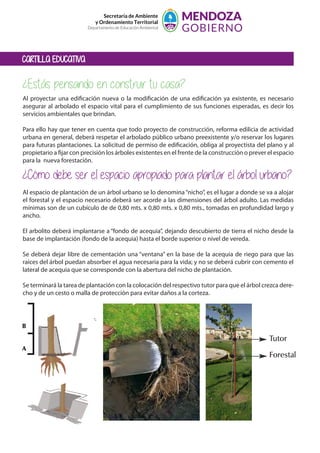 CARTILLA EDUCATIVA
Secretaría de Ambiente
y Ordenamiento Territorial
Departamento de Educación Ambiental
¿Estás pensando en construir tu casa?
Al proyectar una edificación nueva o la modificación de una edificación ya existente, es necesario
asegurar al arbolado el espacio vital para el cumplimiento de sus funciones esperadas, es decir los
servicios ambientales que brindan.
Para ello hay que tener en cuenta que todo proyecto de construcción, reforma edilicia de actividad
urbana en general, deberá respetar el arbolado público urbano preexistente y/o reservar los lugares
para futuras plantaciones. La solicitud de permiso de edificación, obliga al proyectista del plano y al
propietario a fijar con precisión los árboles existentes en el frente de la construcción o prever el espacio
para la nueva forestación.
¿Cómo debe ser el espacio apropiado para plantar el árbol urbano?
Al espacio de plantación de un árbol urbano se lo denomina“nicho”, es el lugar a donde se va a alojar
el forestal y el espacio necesario deberá ser acorde a las dimensiones del árbol adulto. Las medidas
mínimas son de un cubículo de de 0,80 mts. x 0,80 mts. x 0,80 mts., tomadas en profundidad largo y
ancho.
El arbolito deberá implantarse a “fondo de acequia”, dejando descubierto de tierra el nicho desde la
base de implantación (fondo de la acequia) hasta el borde superior o nivel de vereda.
Se deberá dejar libre de cementación una “ventana” en la base de la acequia de riego para que las
raíces del árbol puedan absorber el agua necesaria para la vida; y no se deberá cubrir con cemento el
lateral de acequia que se corresponde con la abertura del nicho de plantación.
Se terminará la tarea de plantación con la colocación del respectivo tutor para que el árbol crezca dere-
cho y de un cesto o malla de protección para evitar daños a la corteza.
Municipio correspondiente.
A
B
Tutor
Forestal
 