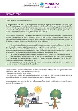 CARTILLA EDUCATIVA
Secretaría de Ambiente
y Ordenamiento Territorial
Departamento de Educación Ambiental
Cuarto: ¿Qué especies y en que lugares?
Ya se han establecido cuáles son las especies más adecuadas para los diferentes espacios de las ciuda-
des de Mendoza, ya que son diferentes las características de los forestales que se necesitan en grandes
avenidas abiertas, que aquellos forestales para calles angostas, rodeadas de edificación de altura como
pueden ser las calles del microcentro y otras serán las características forestales necesarias para calles de
barrios donde no hay edificios altos y hay veredas mas amplias.
El arbolado de calle requiere características que no son las mismas que las que deben considerarse en
un espacio verde como las plazas, parques y paseos, ya que en estos lugares los árboles alcanzan su
máxima expresión vegetativa, tienen menos superficie cementada y más espacio para que sus raíces se
desarrollen y su copa tiene menos interferencias con el cableado.
1- En avenidas anchas son convenientes árboles de gran porte como los plátanos y las tipas, ya
que dan sombra a mucha superficie de cemento e impiden que se recaliente;
2- En el caso de calles, los árboles de porte más pequeño como las moreras y los fresnos son una
buena opción para compatibilizar el cableado aéreo, las luminarias, las veredas angostas y la necesidad
de dar sombra al cemento para evitar su calentamiento por la exposición al sol.
3- Enbarriosdecallesmasangostaspuedencolocarselosprunus(ciruelos),liquidámbar,brachychiton.
4- Ya en espacios abiertos como plazas se puede plantar ejemplares arbóreos que se desarrollen
en su máxima expresión vegetativa dando sombra y belleza al paisaje, como aguaribay, acacia visco,
casuarinas, catalpas, jacarandá, palo borracho.
5- En rutas y caminos son convenientes los álamos para formar cortinas forestales que mitiguen la
acción erosiva del viento, además de dar sombra.
Las especies más utilizadas en Mendoza para las forestaciones públicas son, la mayoría, especies no
autóctonas, entre ellas, las más comunes de ver son:
* De gran porte: plátanos, tipas, álamos,
* De mediano porte: tilos, acacias, aguaribay, arabias, árbol del cielo, brachychiton, fresnos, jacarandá,
ligustro, liquidámbar, morera, olmo, palo borracho, paraíso, prunus o ciruelo.
Las especies que no se recomiendan son: palmeras, coníferas (pinos), eucaliptos y otras especies gene-
ralmente de hoja perenne .
 