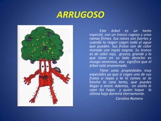ARRUGOSO
            Este árbol es un tanto
     especial, con un tronco rugoso y unas
     ramas firmes. Sus raíces son fuertes y
     cuando lo riegan cogen toda el agua
     que pueden. Sus frutos son de color
     morado con rayas negras. Su tronco
     es de color rojo, grueso, grande y lo
     que tiene en su lado derecho es
     musgo venenoso, eso significa que el
     árbol está envenenado.
            Tiene unas propiedades muy
     especiales ya que si coges uno de sus
     frutos a rayas y te lo comes se te
     hincha la cara tanto, que puedes
     llegar a morir. Además, en otoño le
     caen las hojas y quien toque la
     última hoja dormirá eternamente.
                     Carolina Romero
 
