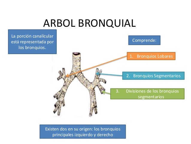 Detras de la universidad 3