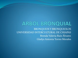 BRONQUIOS Y BRONQUIOLOS
UNIVERSIDAD INTERCULTURAL DE CHIAPAS
Brenda Valeria Ruiz Álvarez
Gladys Antonia Torres Morales
 